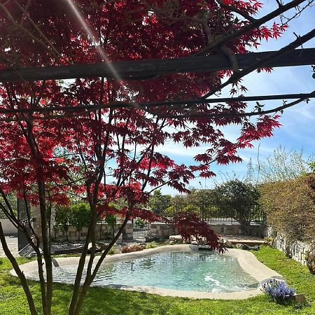 Domus Parva - Villa Con Bio-Piscina, Spa Privata E Appartamenti Panoramici باكولي المظهر الخارجي الصورة